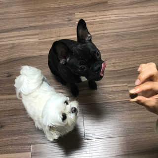 송주연님이 올린 리뷰 사진 2