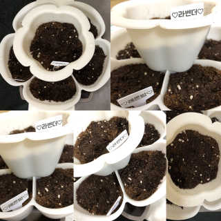 순이츠님이 올린 리뷰 사진 1