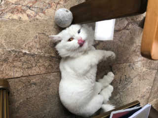 min0님이 올린 리뷰 사진 3