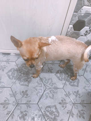 유르율님이 올린 리뷰 사진 1