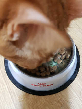 신예지님이 올린 리뷰 사진 4