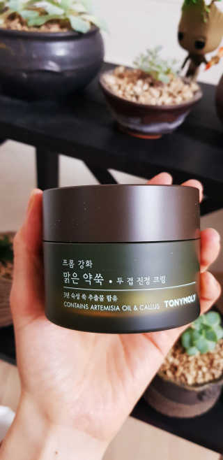 토니모리 프롬 강화 맑은 약쑥 두 겹 진정 크림 — 5점을 준 리뷰어가 2019년 9월 올린 사용 사진