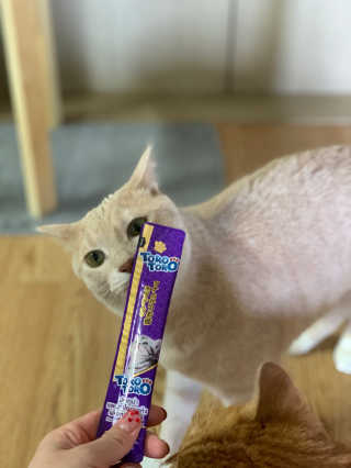 선짱님이 올린 리뷰 사진 2
