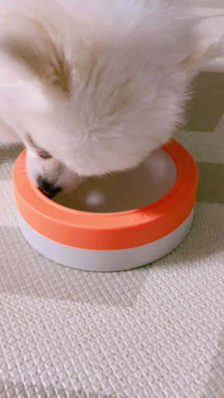 라움님이 올린 리뷰 사진 2