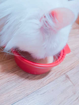 야미요미♥님이 올린 리뷰 사진 3