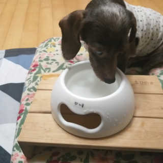 리뷰도라님이 올린 리뷰 사진 2