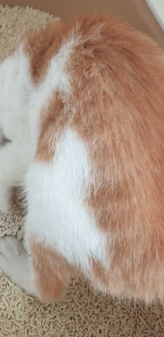로블리님이 올린 리뷰 사진 4