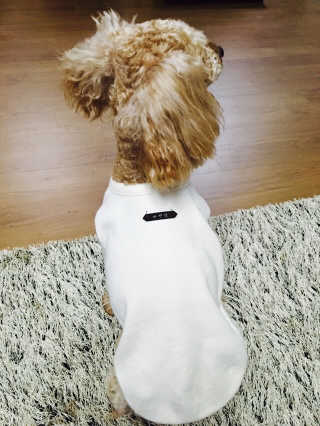 에드님이 올린 리뷰 사진 1