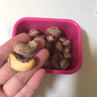 키메님이 올린 리뷰 사진 2
