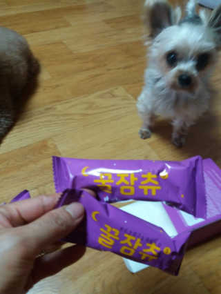 쪼꼬사랑이언니님이 올린 리뷰 사진 3