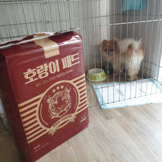 다다마미님이 올린 리뷰 사진 1