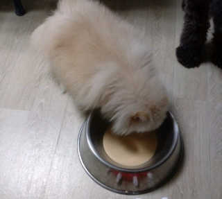 YoonJiwon님이 올린 리뷰 사진 1