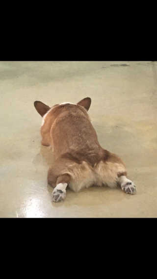 함니님이 올린 리뷰 사진 3
