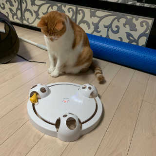 ollie님이 올린 리뷰 사진 1