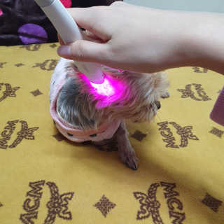 솜희님이 올린 리뷰 사진 2