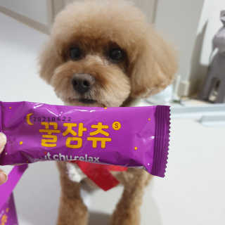 썰뇽님이 올린 리뷰 사진 3