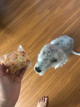 로니카님이 올린 리뷰 사진 2