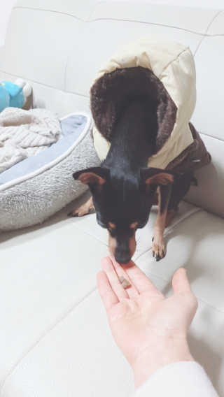 도도님이 올린 리뷰 사진 3