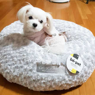 이수진님이 올린 리뷰 사진 1