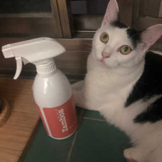 kogabi님이 올린 리뷰 사진 3
