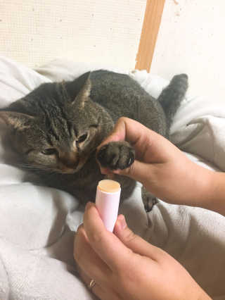 나강나강님이 올린 리뷰 사진 4