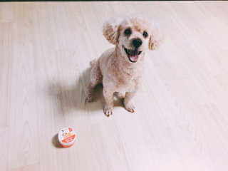 박정우님이 올린 리뷰 사진 1