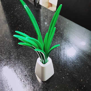비앤포님이 올린 리뷰 사진 1