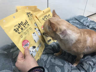 [펫토리아] 강아지,고양이겸용 짜먹는 한입뚝딱 — 5점을 준 리뷰어가 2019년 1월 올린 사용 사진