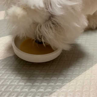 어거스트비님이 올린 리뷰 사진 4