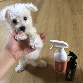 겨울용점퍼님이 올린 리뷰 사진 1