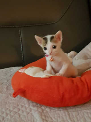 쭈하님이 올린 리뷰 사진 3