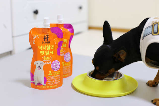닥터할리펫밀크 1BOX 리뷰 사진