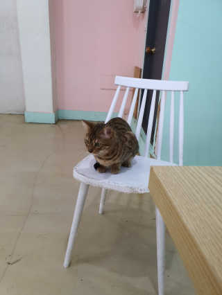 효티님이 올린 리뷰 사진 3