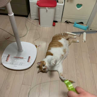 ollie님이 올린 리뷰 사진 3