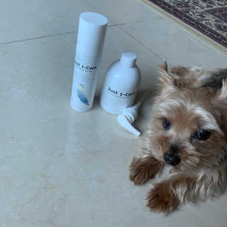 [펫토리아] 뚝딱케어 강아지 고양이 샴푸+미스트 SET — 5점을 준 리뷰어가 2020년 2월 올린 사용 사진