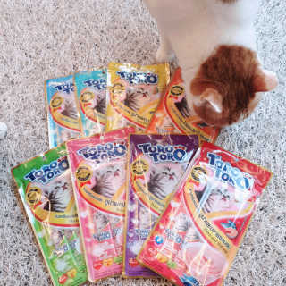 펫토리아 짜먹는 토로토로 고양이 파우치 간식 — 5점을 준 리뷰어가 2019년 6월 올린 사용 사진