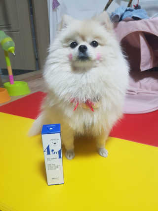 강아지스토리 포인원 모이스처 미스트 100ml — 5점을 준 리뷰어가 2018년 11월 올린 사용 사진