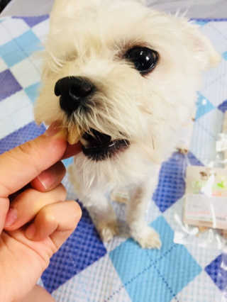 당근님이 올린 리뷰 사진 4