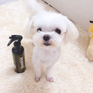 VV님이 올린 리뷰 사진 1