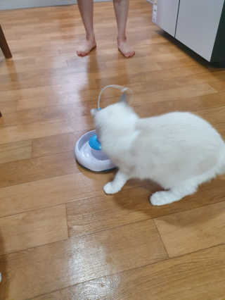 딸랑구둘🥰님이 올린 리뷰 사진 2
