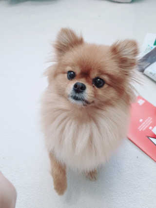 YulaKim님이 올린 리뷰 사진 2