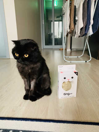 봄솜언니님이 올린 리뷰 사진 2