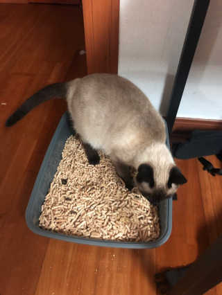 SIENA님이 올린 리뷰 사진 3