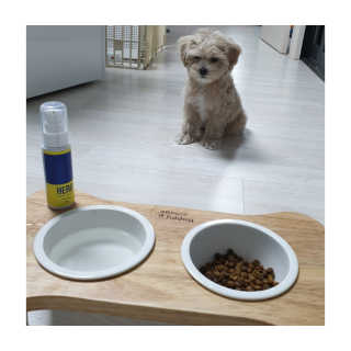 미루맘마님이 올린 리뷰 사진 2
