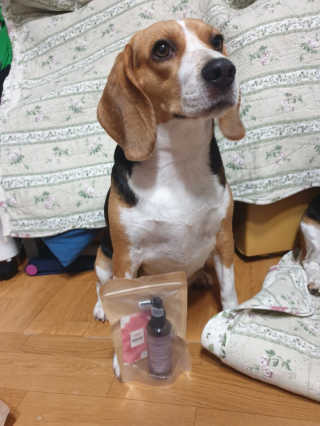 beaglelove님이 올린 리뷰 사진 3