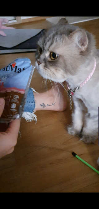 꼬깃꼬기님이 올린 리뷰 사진 1