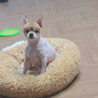 이은미님이 올린 리뷰 사진 3