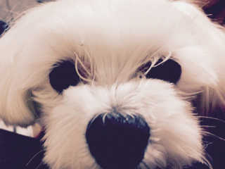 떠리님이 올린 리뷰 사진 2