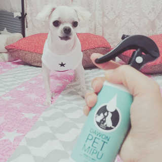 도담님이 올린 리뷰 사진 2
