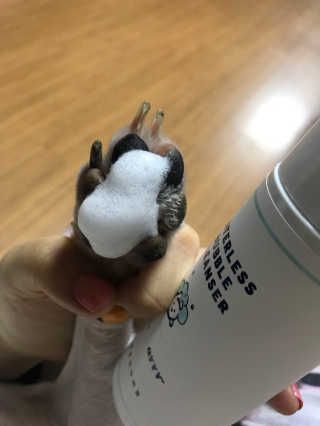 오수빈님이 올린 리뷰 사진 3